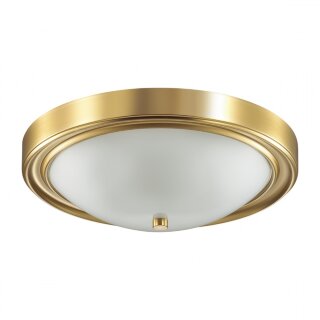 Настенно-потолочный светильник Lumion Nina 5259/3c