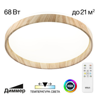 Потолочный светильник CITILUX CL753452G