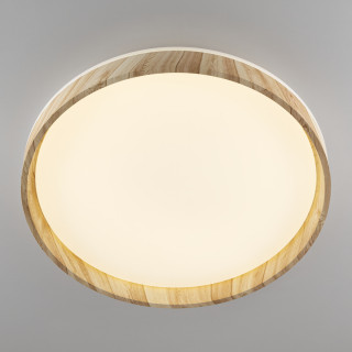 Потолочный светильник CITILUX CL753452G