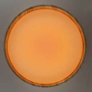 Потолочный светильник CITILUX CL753452G