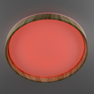 Потолочный светильник CITILUX CL753452G