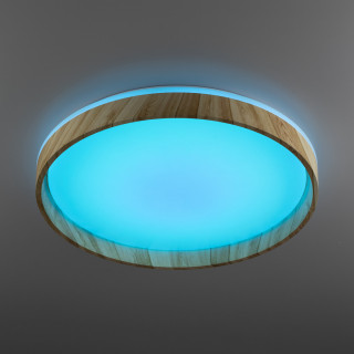 Потолочный светильник CITILUX CL753452G