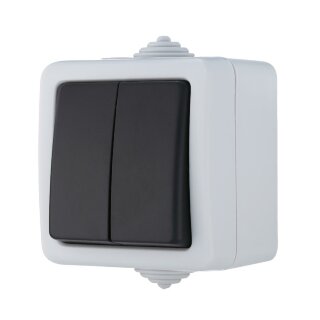 Переключатель 2-х полюсный двухклавишный с 2-х мест cx.6+6 IP54 10A/250V (сер.)