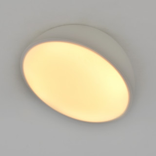 Светильник потолочный Escada 20025SMA/01LED