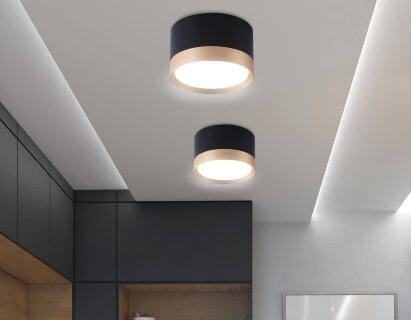 Светильник накладной Ambrella TN52359 BK/GD черный/золото GX53 12W D82*50