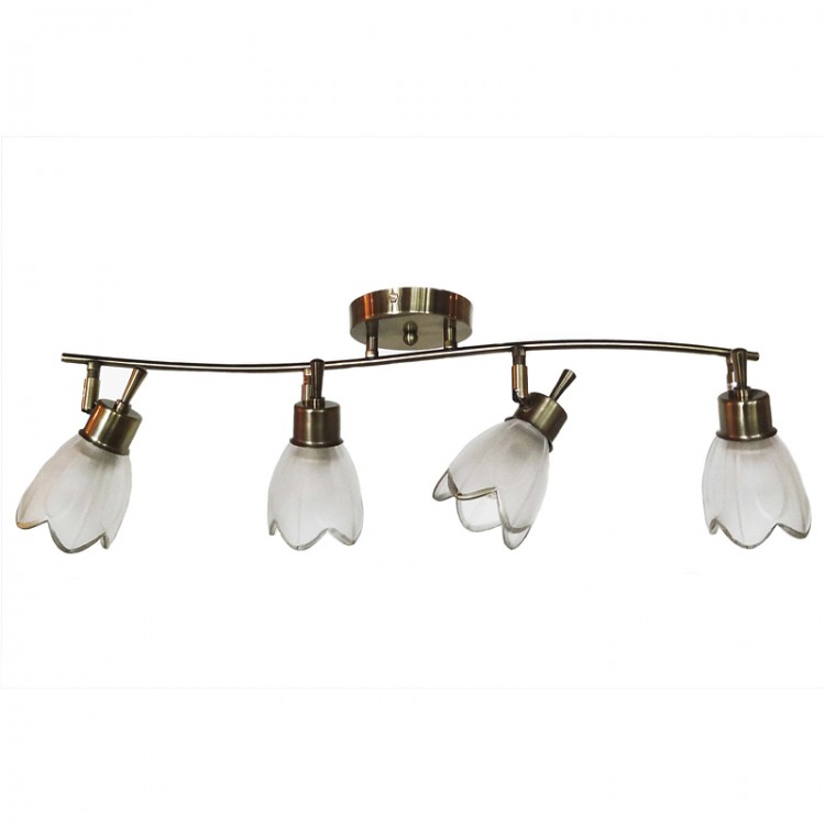 Потолочный светильник AURA CL522541 AB