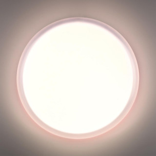 Настенно-потолочный светильник Sonex Pale Jolly 7776/DLN