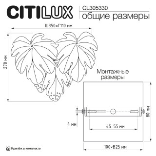 Бра CITILUX  CL305330 DRYAD