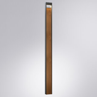 Ландшафтный светильник Artelamp ARNEB A2140PA-1BR