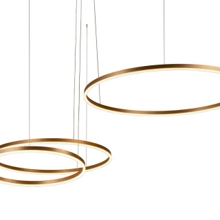 Подвесной светодиодный светильник Loft IT Ring 10017/3M