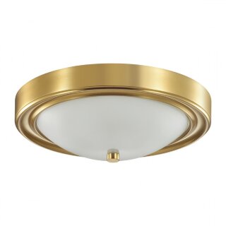 Настенно-потолочный светильник Lumion Nina 5259/2c