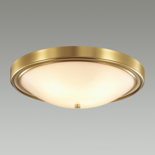 Настенно-потолочный светильник Lumion Nina 5259/4c