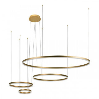 Подвесной светильник Loft IT Ring 10017/4M