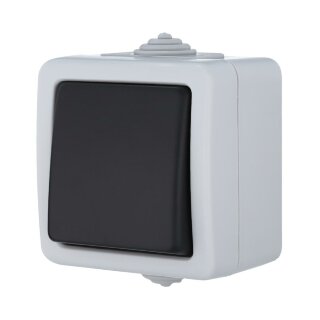 EF600S Выключатель 1-кл. сх.1 IP54 10A/250V (сер.)